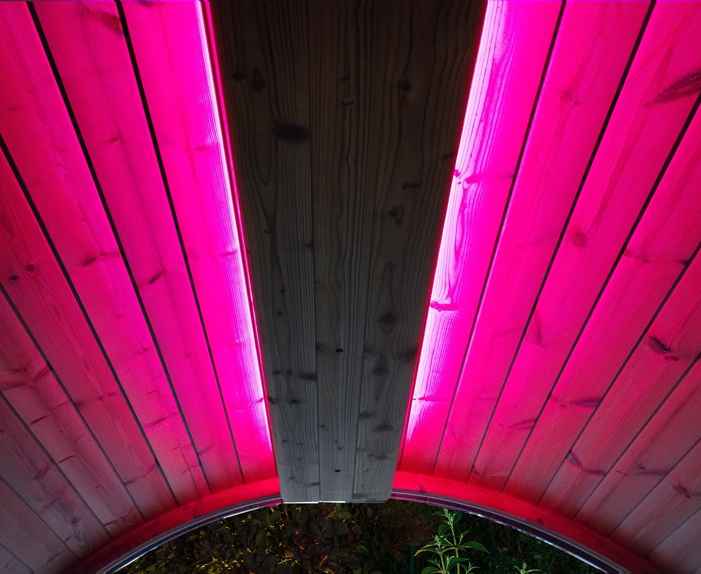 Pink Light