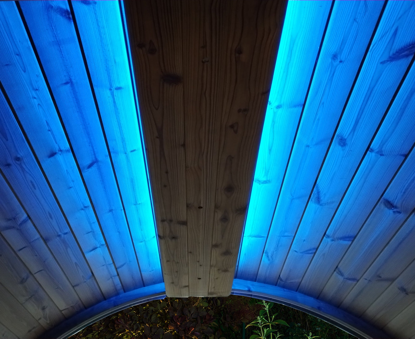 Light Blue Light